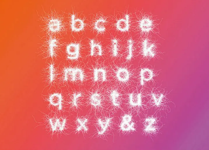 Dynamic Paul Hoppe- 2013 Typeface